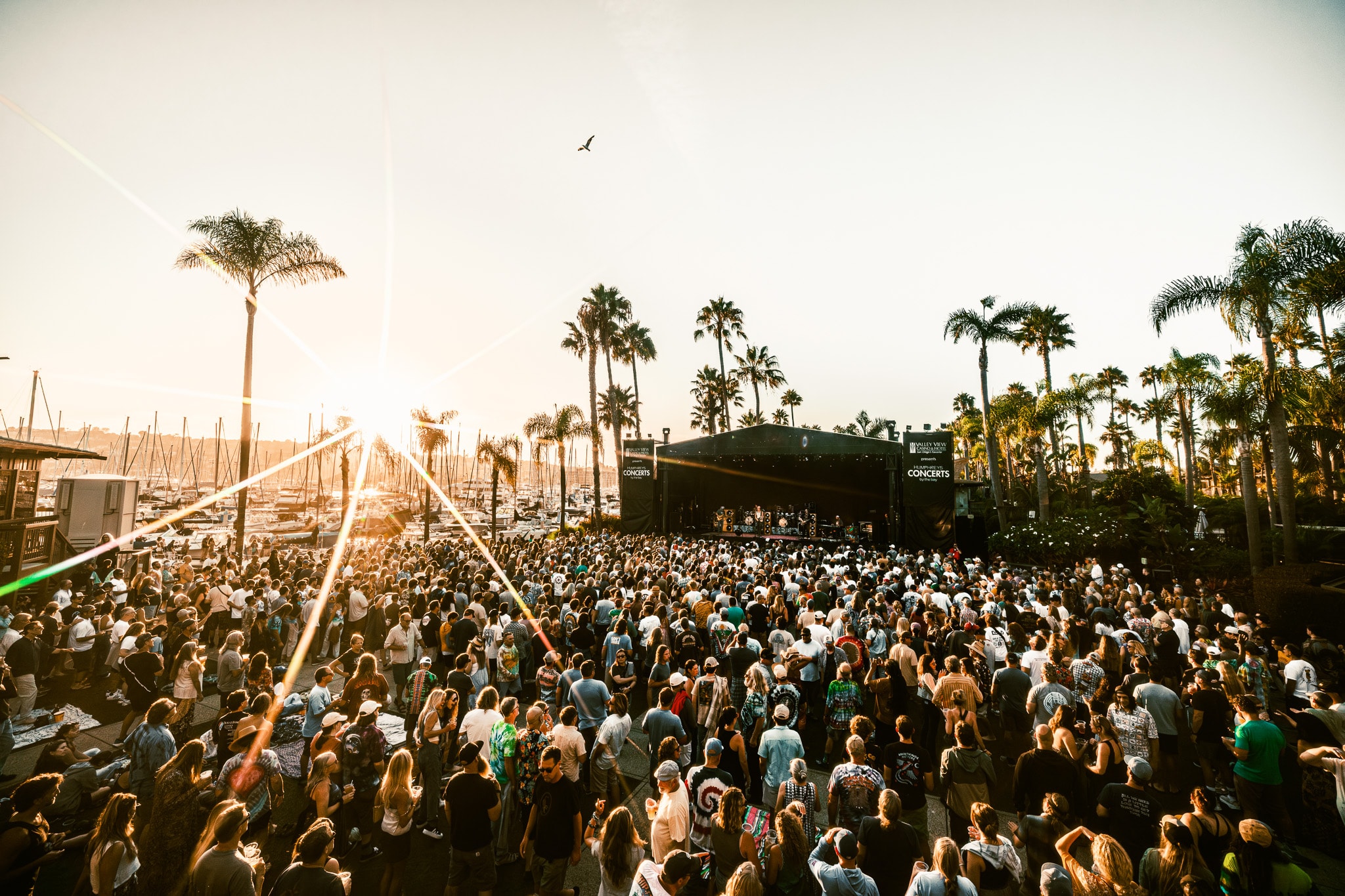 Wide shot of packed outdoor concert crowd with palm trees and marina at sunset